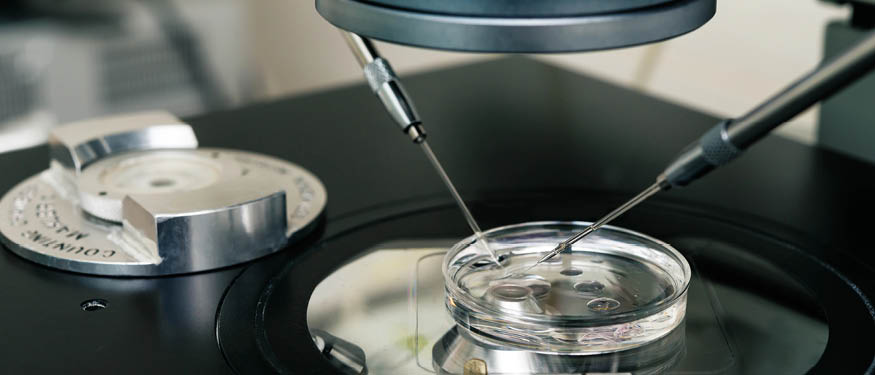 Paksoy Advises Bahceci Health Group on Sale to FutureLife