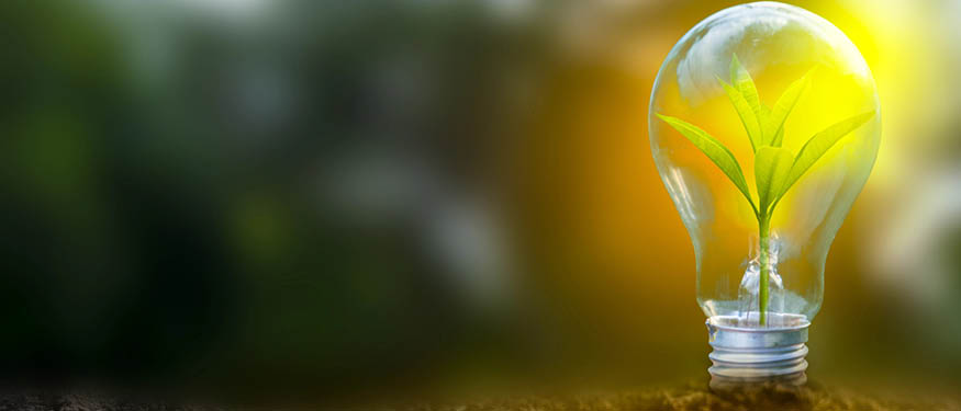 Greenberg Traurig Advises Invesco Real Estate on cPPAs for Green Energy Supply with Polenergia