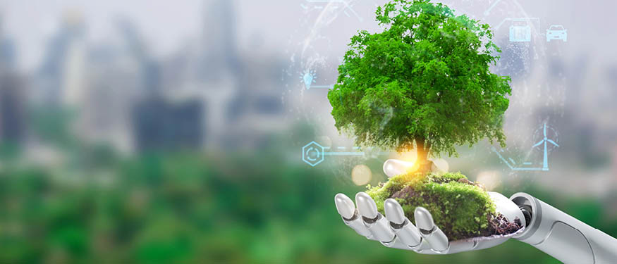 Sorainen Advises Key Carbon on EUR 100 Million Partnership with InSoil