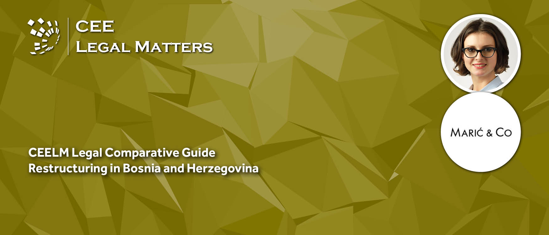 Restructuring Laws and Regulations in Bosnia and Herzegovina