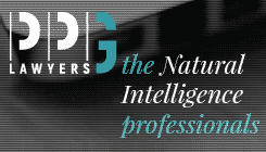 PPG Lawyers - Side Banner - Side