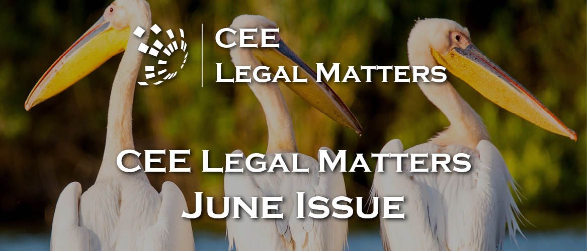 CEE Legal Matters Issue 6.5