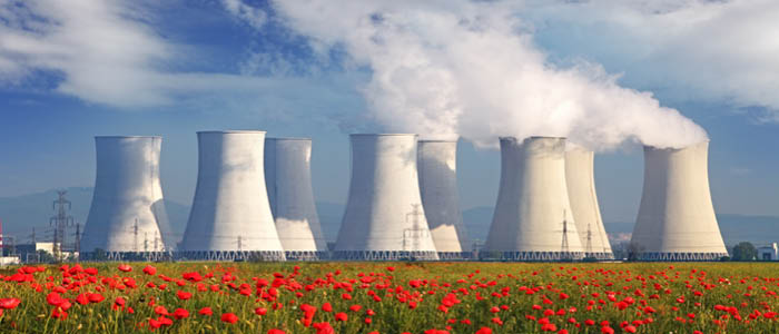 Walless Advises Ignalina Nuclear Power Plant on Dismantling Project Tender
