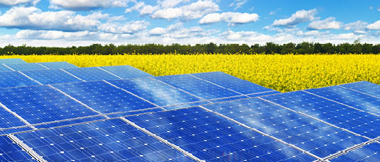 Everlegal Advises UDP Renewables on Ukrainian Solar Power Plants Sale