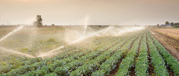 Nadmitov, Ivanov and Partners Assists Rivulis Irrigation in Creation of JV with Polyplastic Group