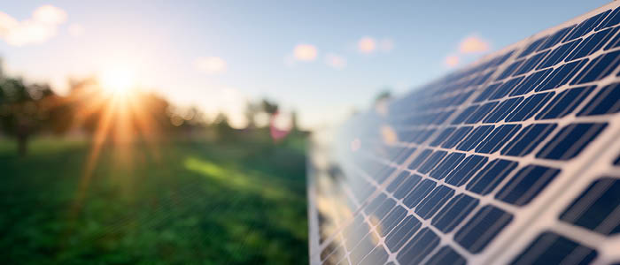CMS Helps Global Biomet Obtain License for Photovoltaic Plant in Bulgaria
