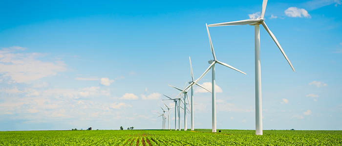 Norton Rose Fulbright Advises Bank Pekao on Financing Wind Farm Construction in Poland