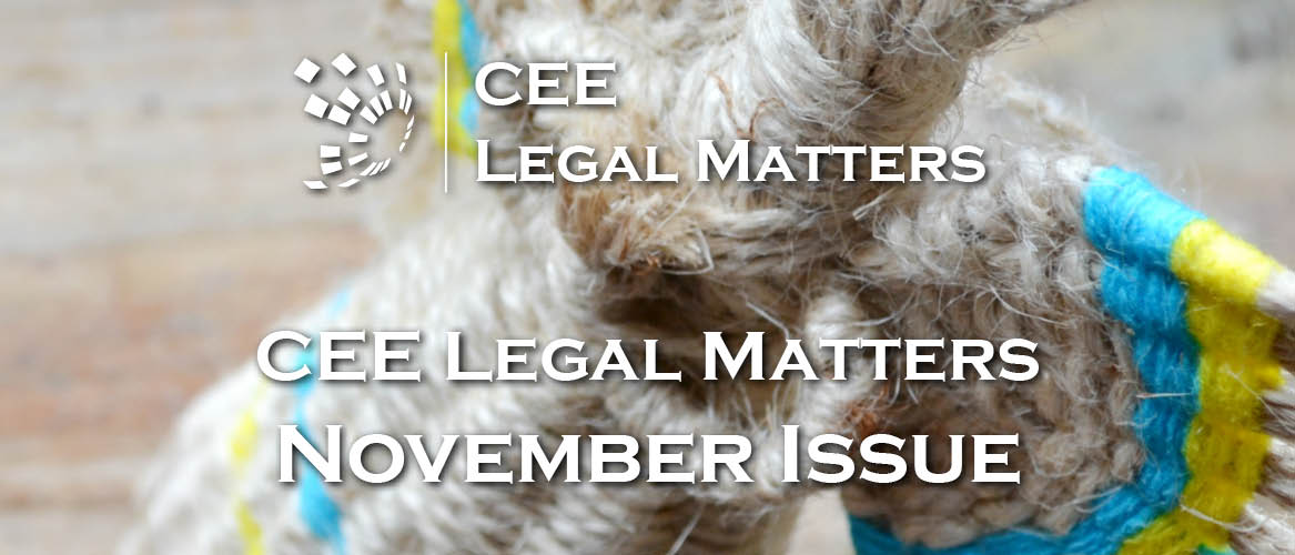 CEE Legal Matters Issue 5.11