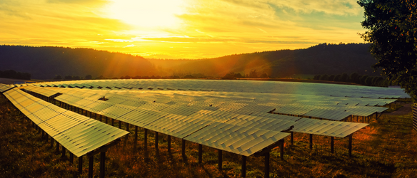 CMS and B2RLaw Advise on SINO-CEEF's Sale of Polish PV Portfolio