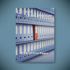 CEELM Firm Pages - side
